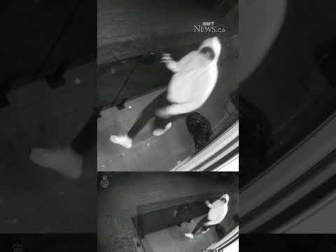 Police release security video of suspects in King Township home invasion