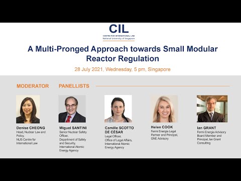 A Multi-Pronged Approach towards Small Modular Reactor Regulation