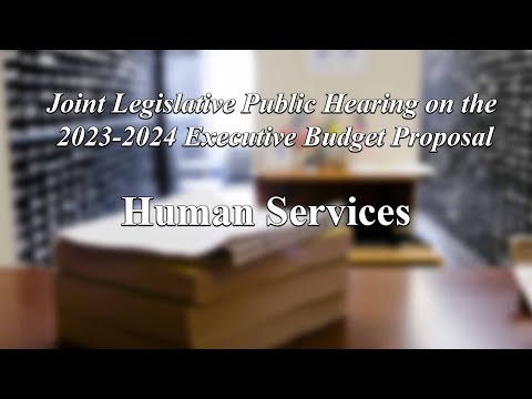 Human Services - New York State Budget Public Hearing